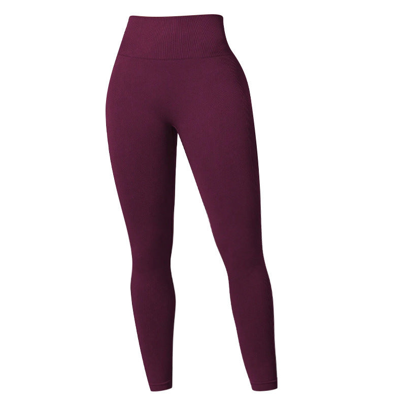 ZORY Essential Seamless Leggings