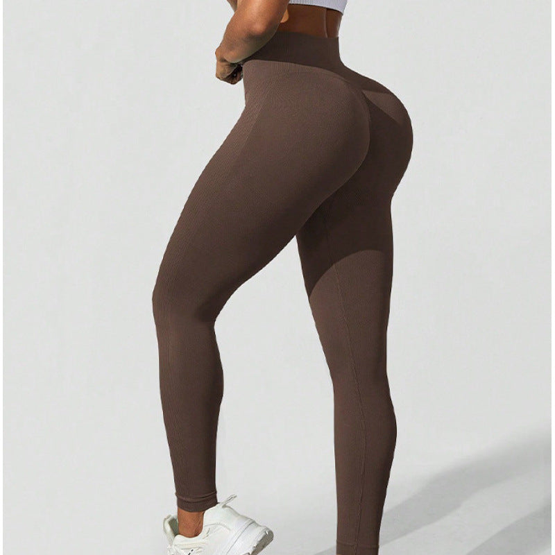 ZORY Essential Seamless Leggings