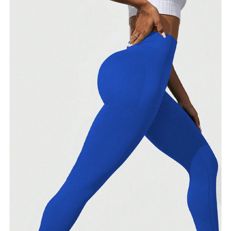 ZORY Essential Seamless Leggings